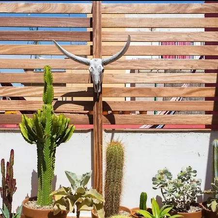 Appartement Atico Los Dos Olivos